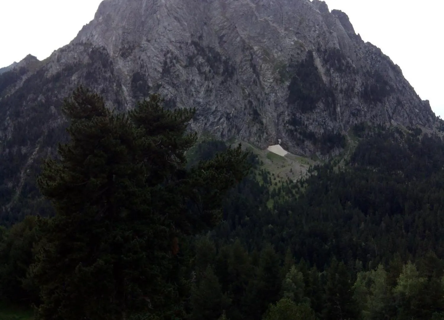 Apartaments L'Arrel Espot